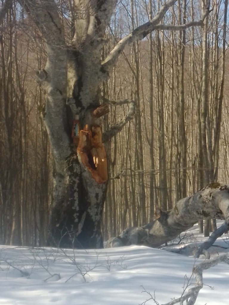 la faggiona del rombicciaio danneggiata